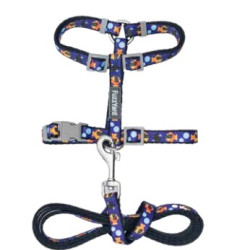 Cat Walking Set