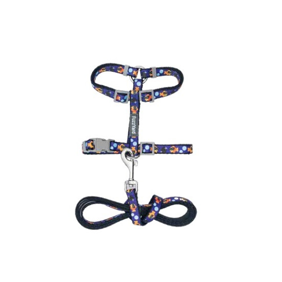 Cat Walking Set
