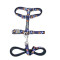 Cat Walking Set