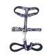 Cat Walking Set