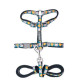 Cat Walking Set