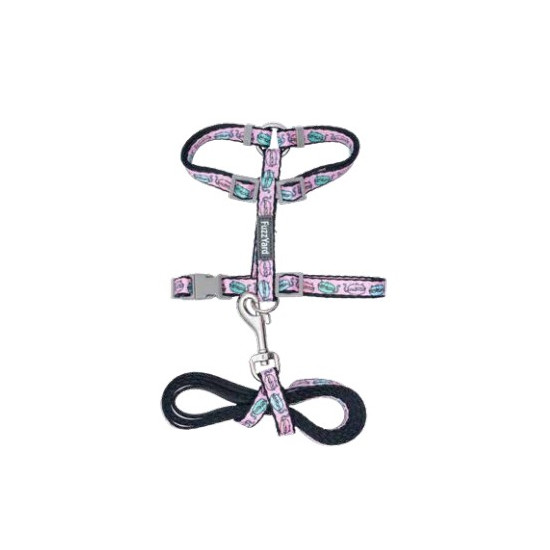 Cat Walking Set