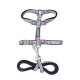 Cat Walking Set