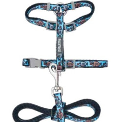 Cat Walking Set
