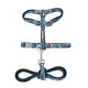 Cat Walking Set