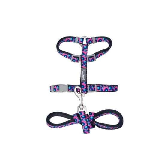 Cat Walking Set