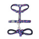 Cat Walking Set
