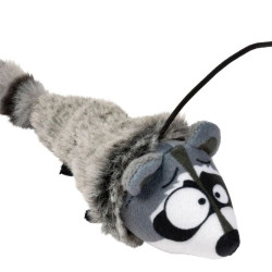 Yeetz Cats - Run Along Raccoon