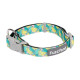 Collars