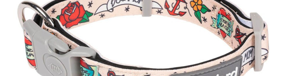 Collars & Leads