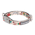 Collars & Leads