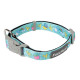 Collars