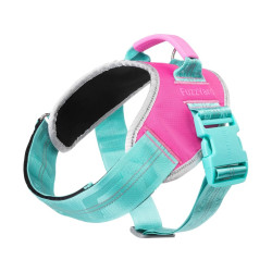 Flash Harness