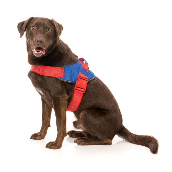Flash Harness