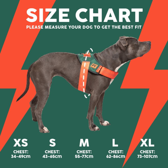 Flash Harness