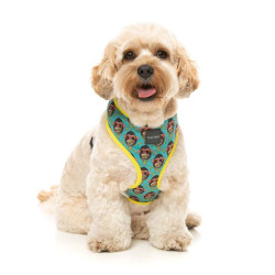 Harnesses
