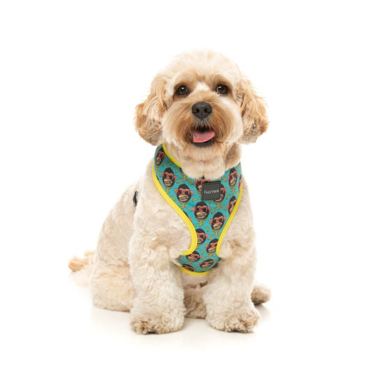 Harnesses