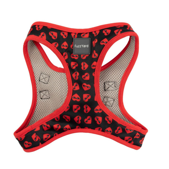 Step-In Harness