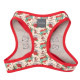 Step-In Harness