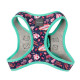 Step-In Harness