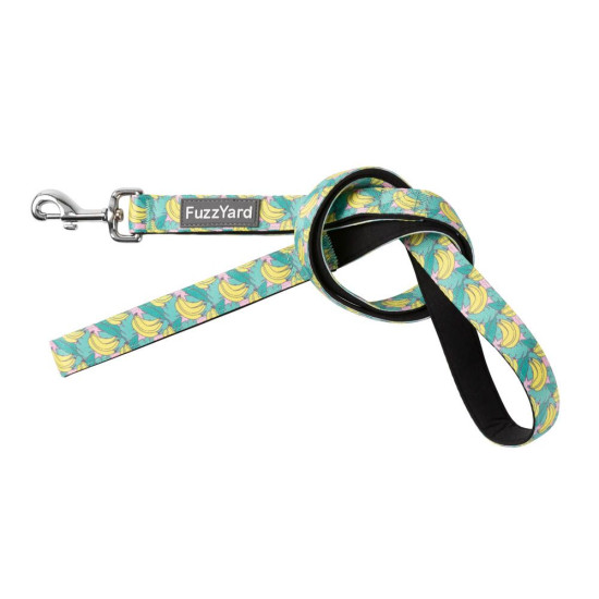Leads