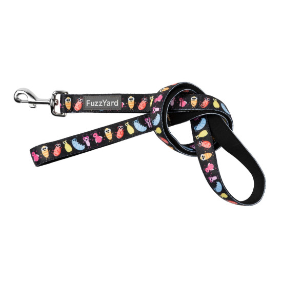 Leads