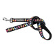 Leads