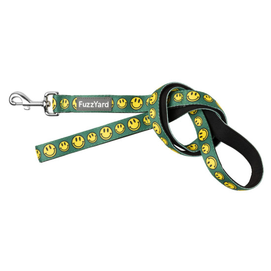 Leads