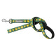 Leads