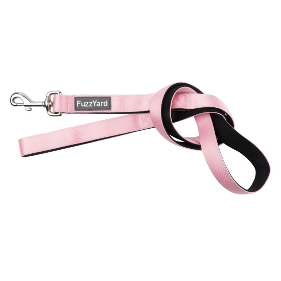 Leads