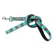 Leads
