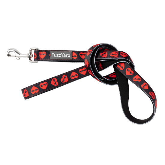 Leads