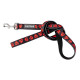 Leads