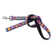 Leads