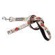Leads