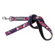 Leads