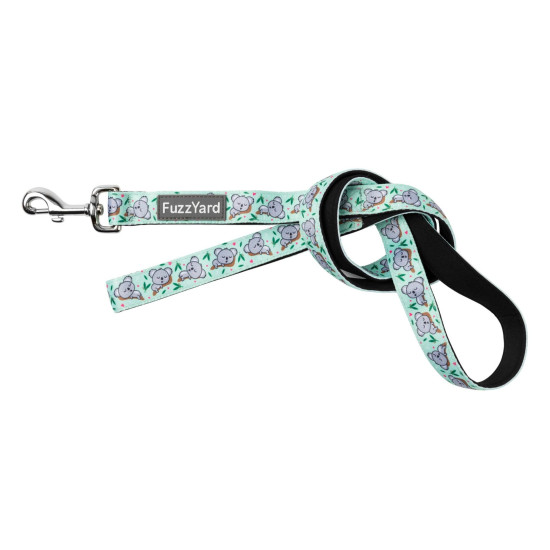 Leads