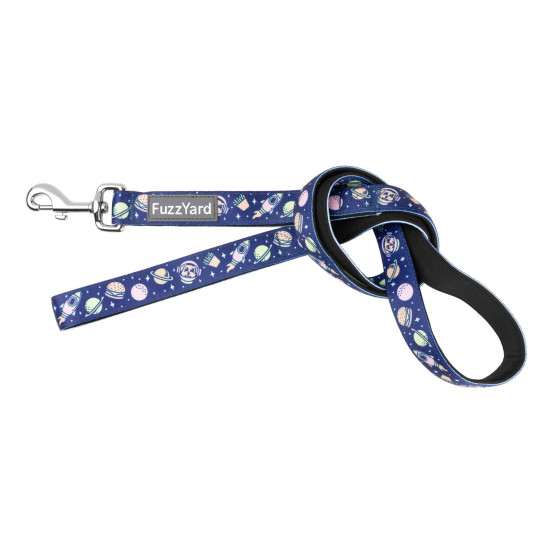 Leads