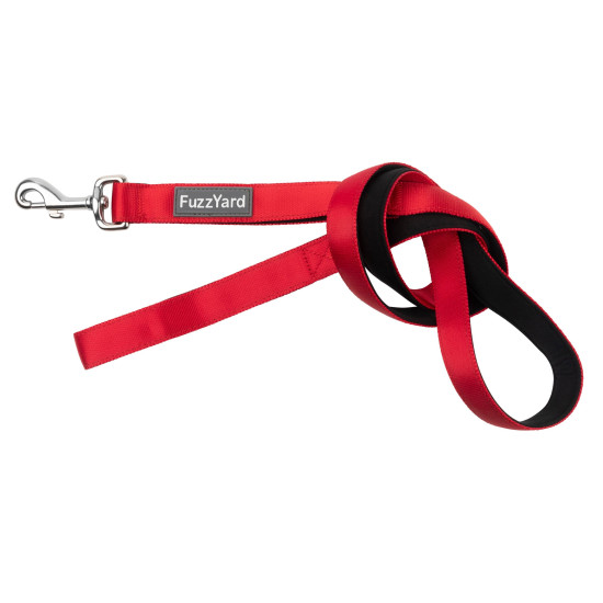 Leads