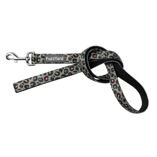 Leads