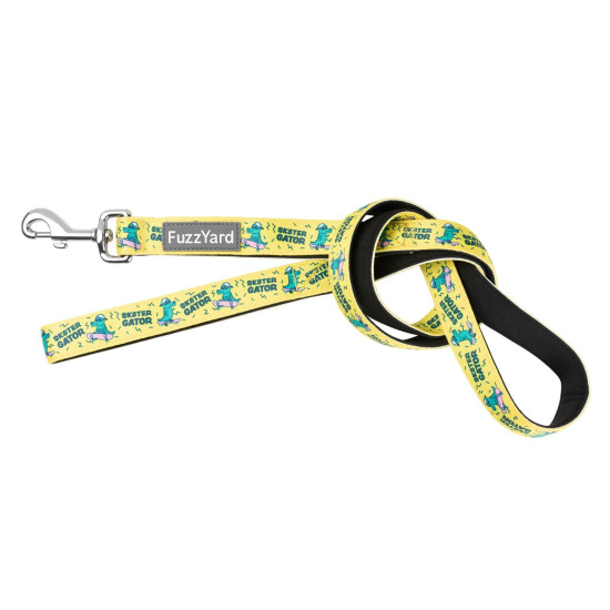 Leads