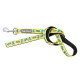 Leads