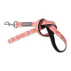 Leads