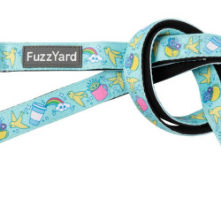 Leads