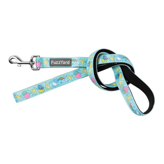 Leads