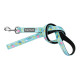 Leads