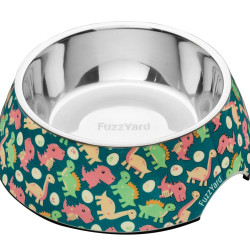 Dog Bowl - Dinosaur Land