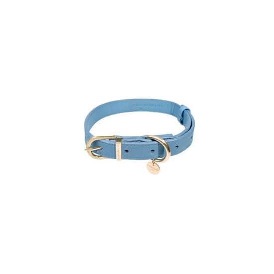 Life - Dog Collar - Atelier