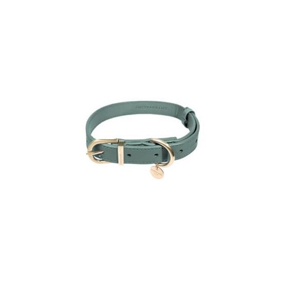 Life - Dog Collar - Atelier
