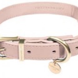 Life - Dog Collar - Atelier